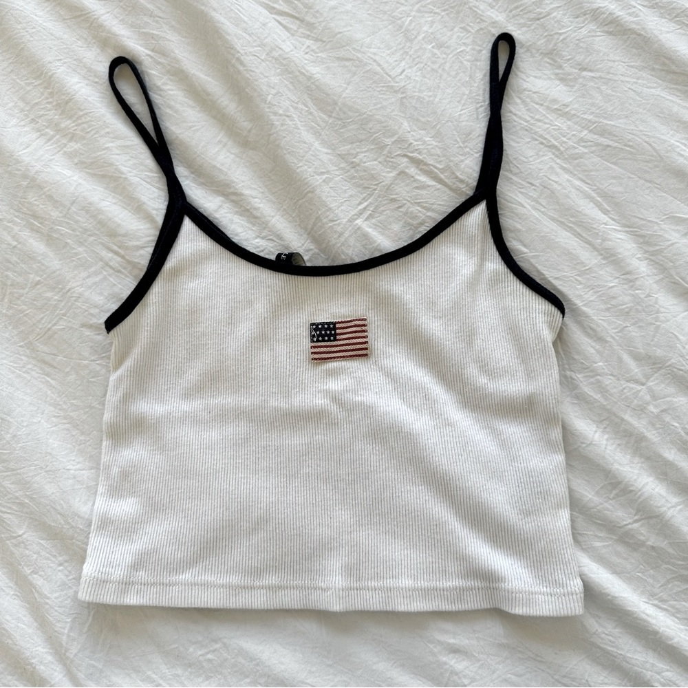 Brandy Melville Crop Top